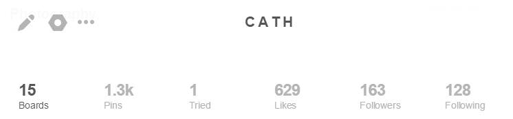 The Content Bug Pinterest account January - The Content Bug