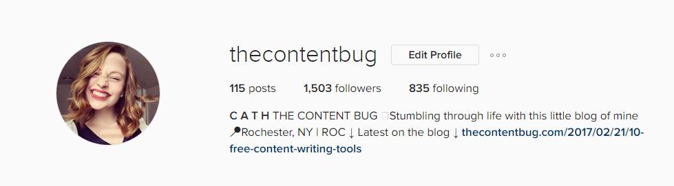 The Content Bug Instagram Account - February