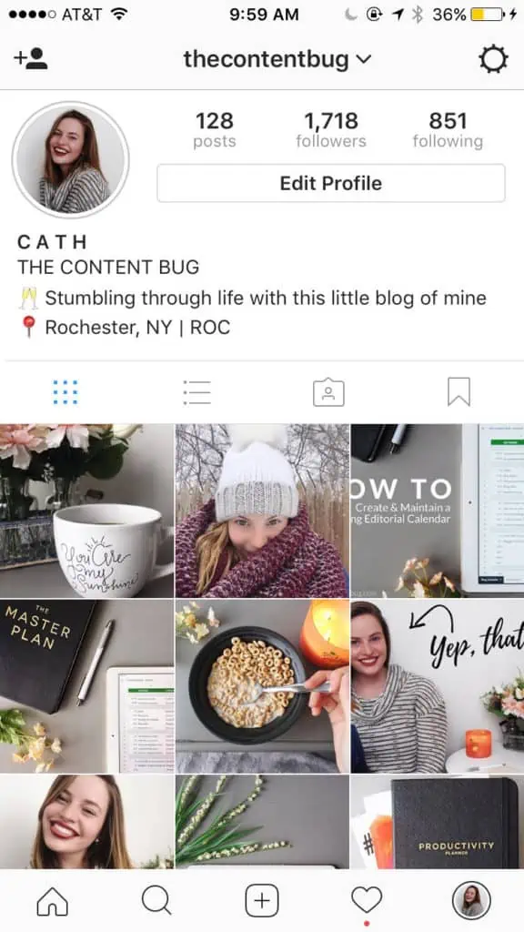 Personal Instagram Account - The Content Bug