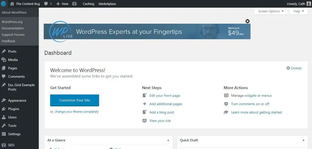 WordPress sample dashboard