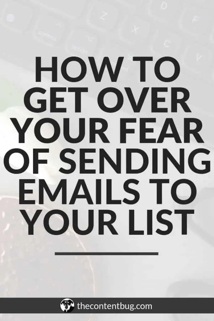 Do you have fears about sending emails to your email list? As a blogger, your email list is one of your most profitable resources. And if you aren't sending the right emails to your email list, you're missing out on making money! Here is how to get over your fear and send that first email to your email list. 